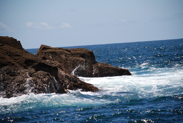 Whangamumu Rocks