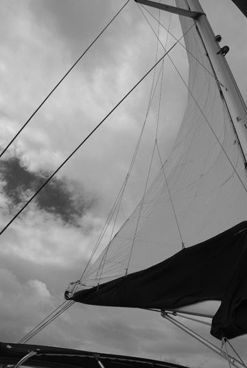 catamaran sailing: sail twist out