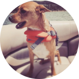 Shannon's First Mate