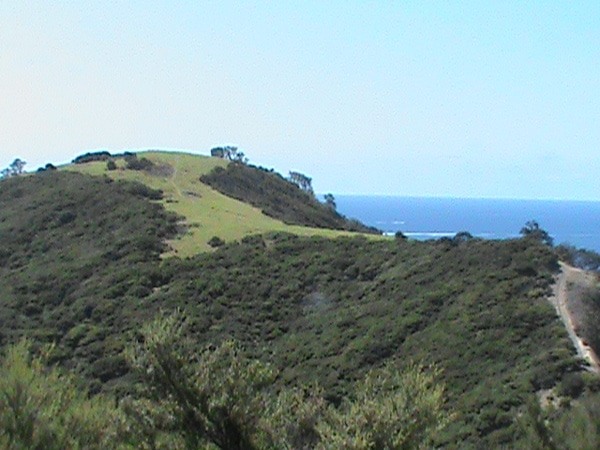 Top of Urupukapuka Island