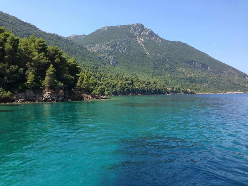 Ionian Sea Nature and Wildlife