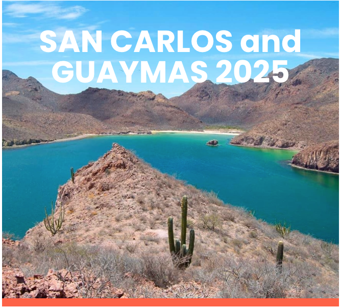 image of San Carlos / Guaymas - Sea Of Cortez, Mexico
