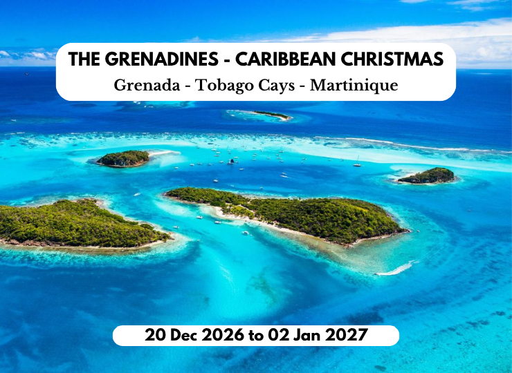 image of The Grenadines - Caribbean Christmas