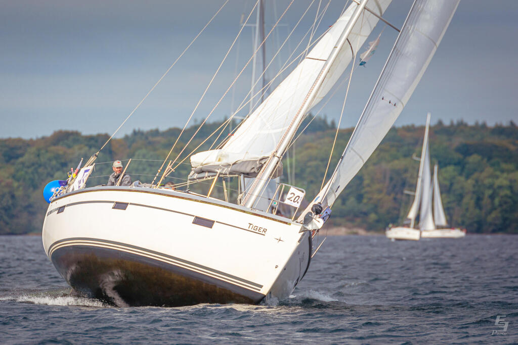 Bavaria Cruiser 37 Tiger