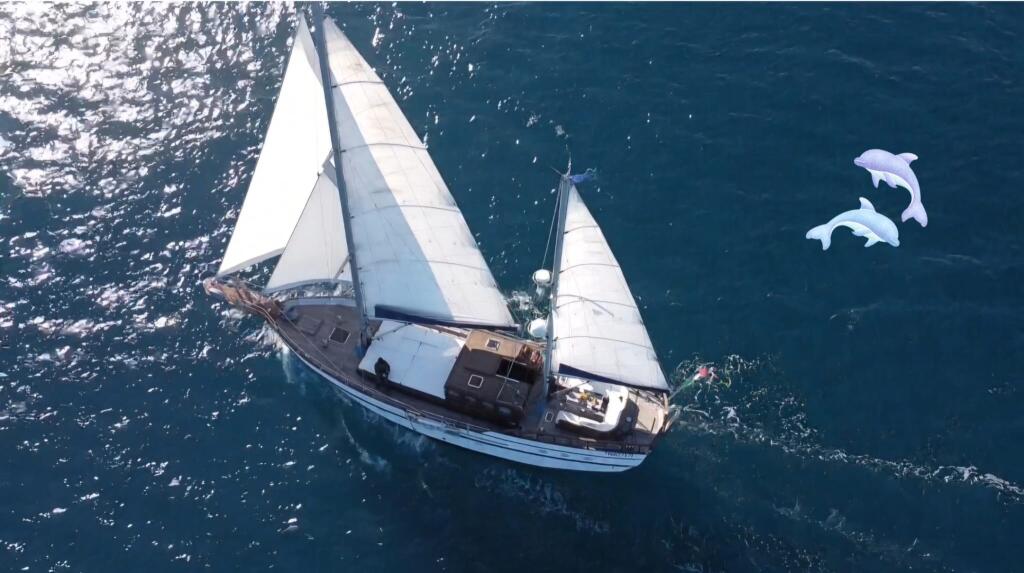 Goletta 20 Oasis