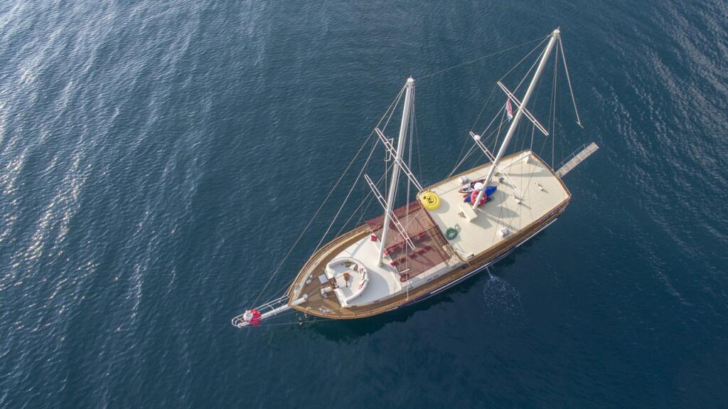 M/S Altair Altair