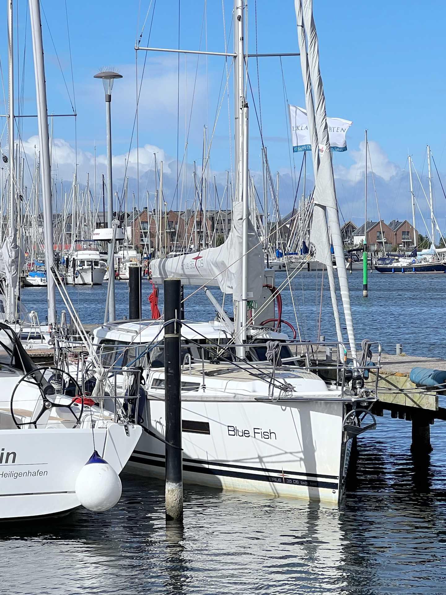 Sirius 35 DS Blue Fish