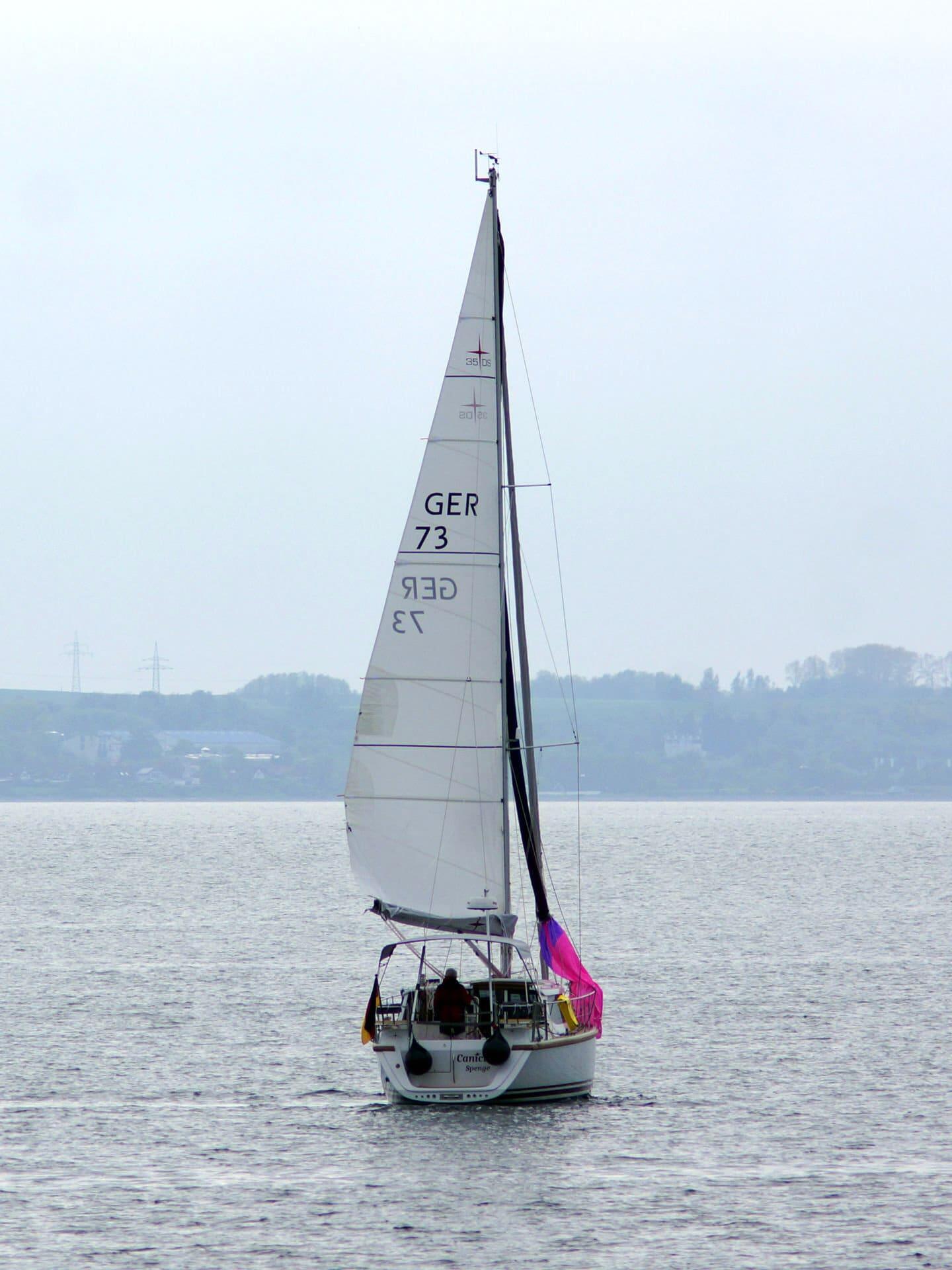Sirius 35 DS Canicula