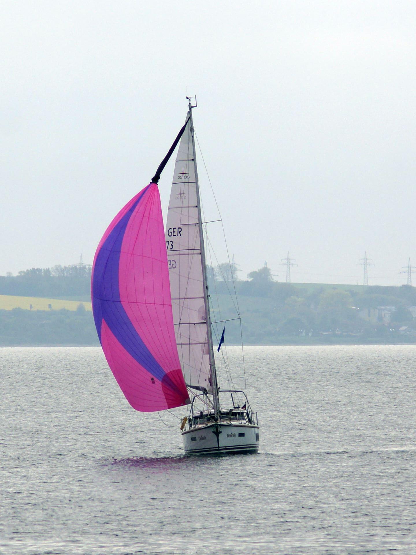 Sirius 35 DS Canicula